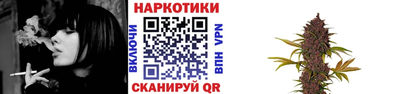 Где продают наркотики Фатеж Канабис  МЕФ  Кокаин  СОЛЬ  Псилоцибиновые грибы  ГАШ 