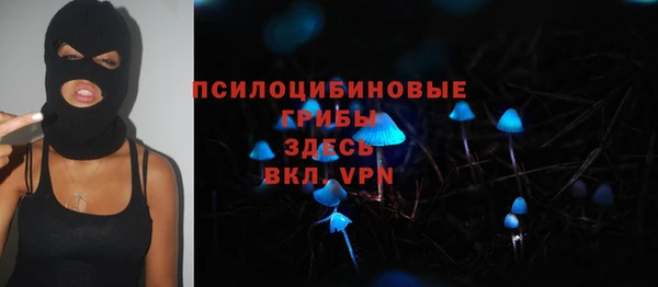 крисы Липки
