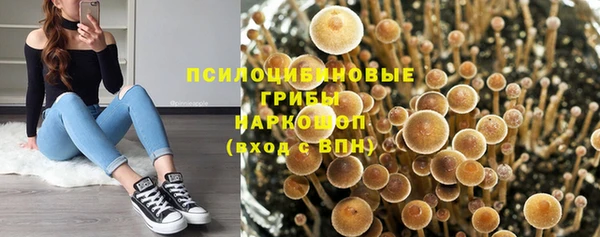 экстази Лихославль